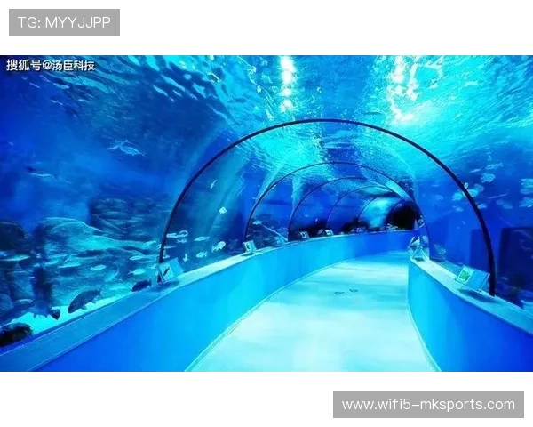 “极地奇景”——从雪山到海底的全球赛场亮点，极地海底世界冰雪乐园